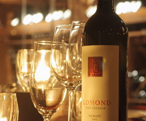Bottle of Lamond wine with glass of wine standing next to it